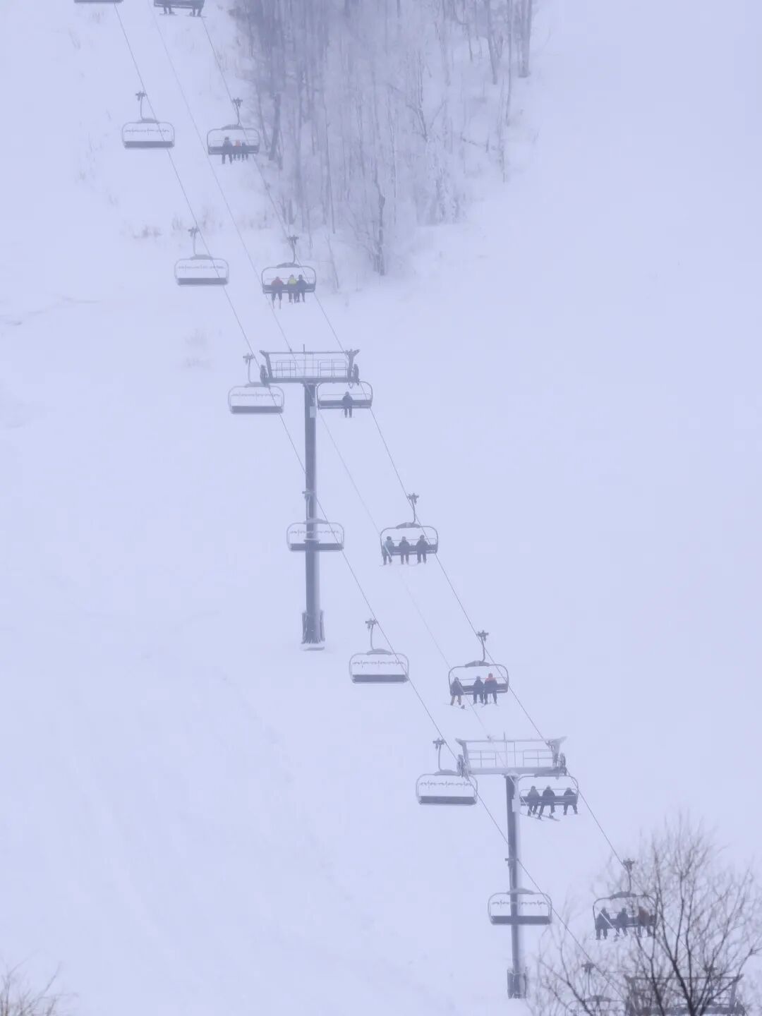 冰雪奇缘 · 蓝山滑雪营 · 原文配图